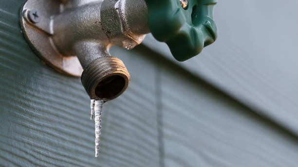Best Leak Detection Services  in Fort Pierce South, FL